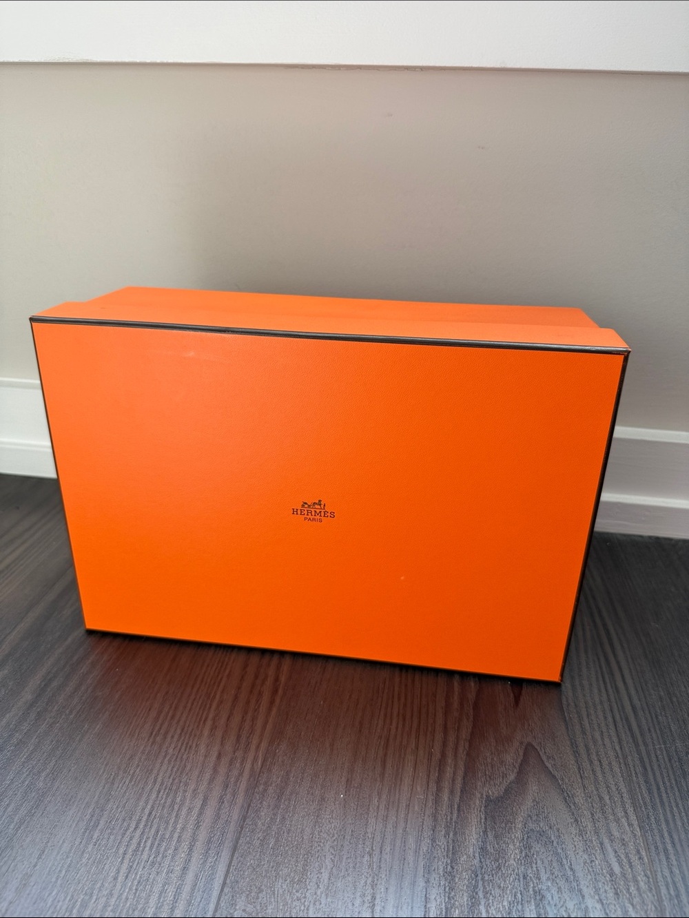 Hermes empty shoe box